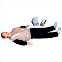 CPR 280S Advanced CPR Training Manikin