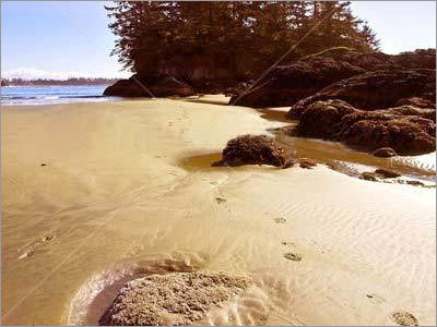 Beach Sand