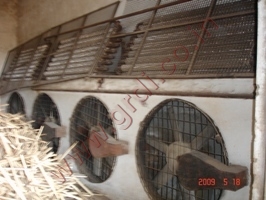 Heavy Duty Wood Seasoning Plant