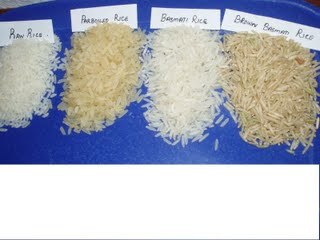 Rice Grain