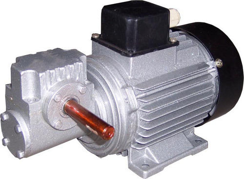 Worm Gear Motor
