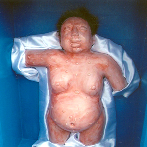 Decomposed Body Model