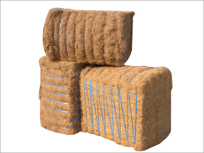 Coir Fibre