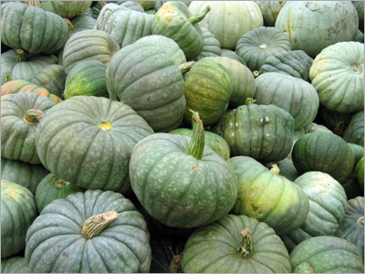Pumpkin