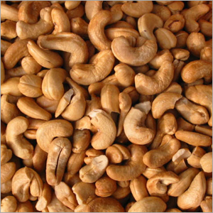 Cashew