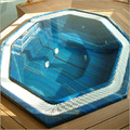 Jacuzzi Whirlpool System