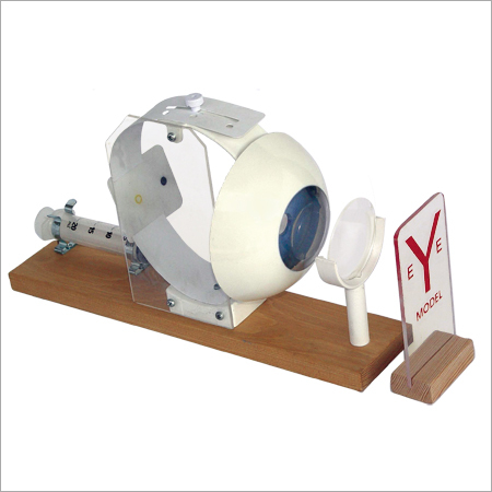 EYE MODEL , FUNCTIONAL