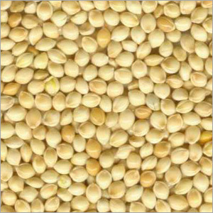 White Millets