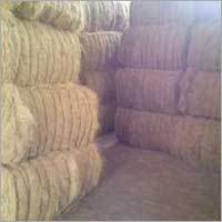 White Coir Fiber