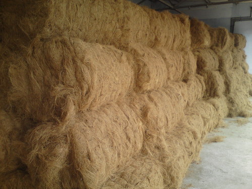 Curled Coir