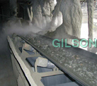 Industrial Nylon Conveyor Belts