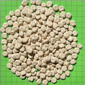 Hamburg Lupins (Sweet)