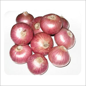 Fresh Onions