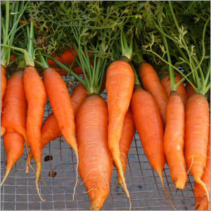 Carrots