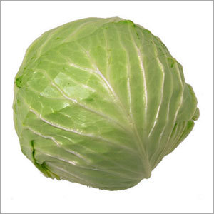 Cabbage