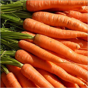 Fresh Carrots