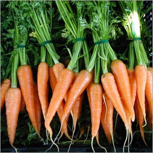 Small Sized Carrots