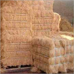 Coir Fibre