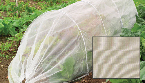 Insect Net