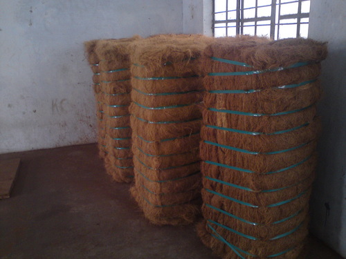 Coir Fibre