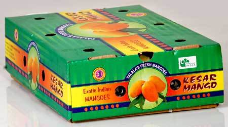 Green Fresh Mangoes 