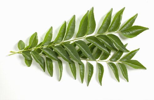 Curry Leaf