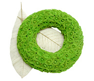 Skeliton Rose Wreath