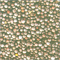 Black Mustard Seeds