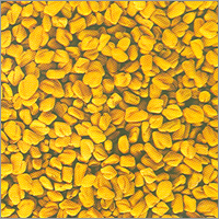Fenugreek Seeds
