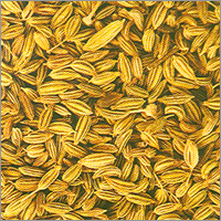 Fennel Seeds