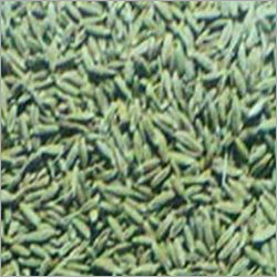 Cumin Seeds