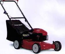 Petrol Lawn Mower