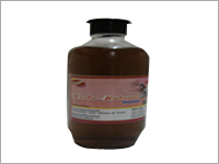 Herbal Shampoo