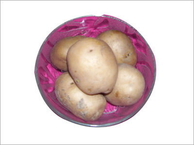 Fresh Preserved Vegetables