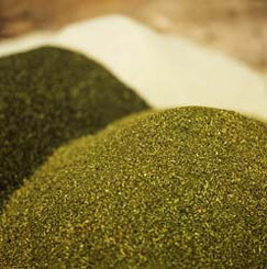 Organics Fertilizers
