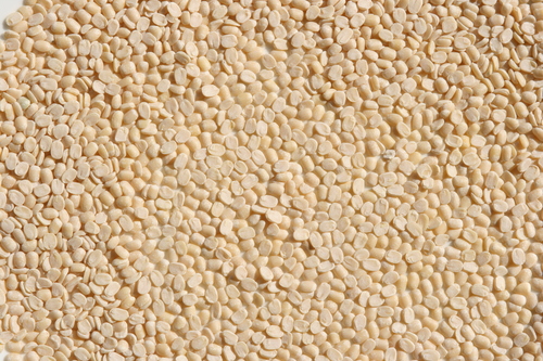 Urad Dhowa