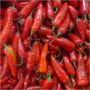 Dried Red Chillies