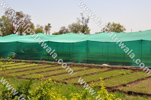 Green Agro Shade Net