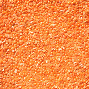 Masoor Dal