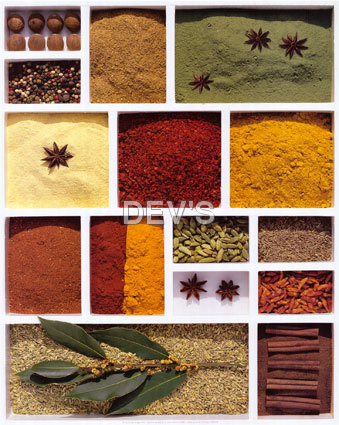 Indian Spices