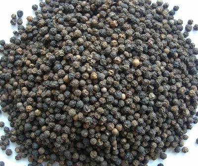 Black Pepper