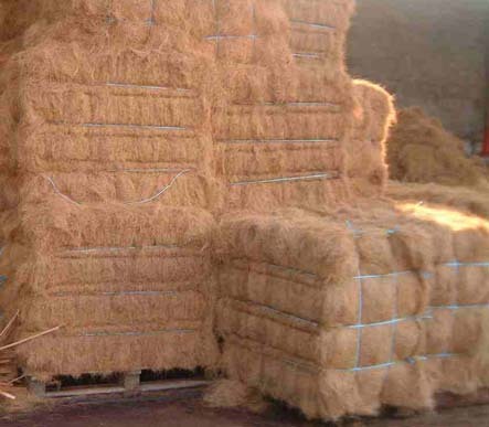 COCONUT FIBRE