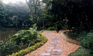 Landscaping Gardening Services