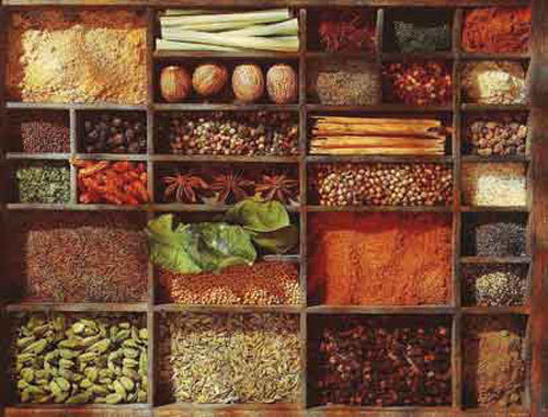 Medicinal Herbs