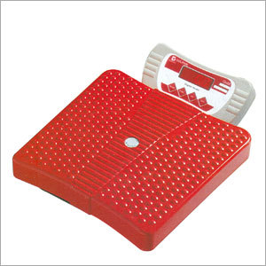Home Cum Personal Scale