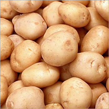 Potato
