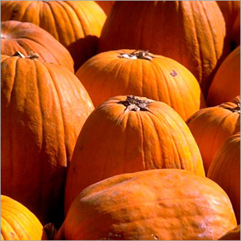 Pumpkin