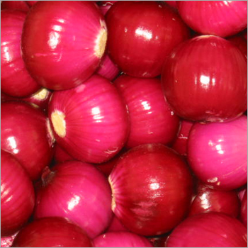 Red Onion