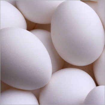White Chicken Egg