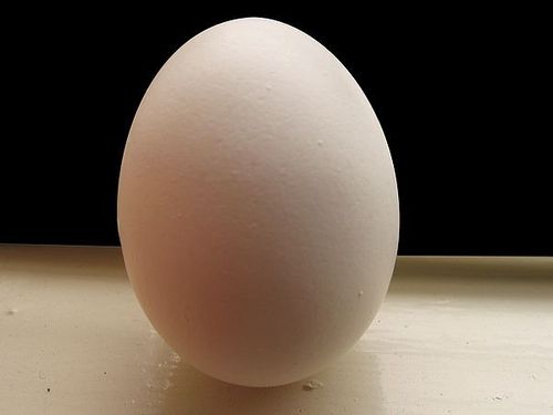 Browen Egg